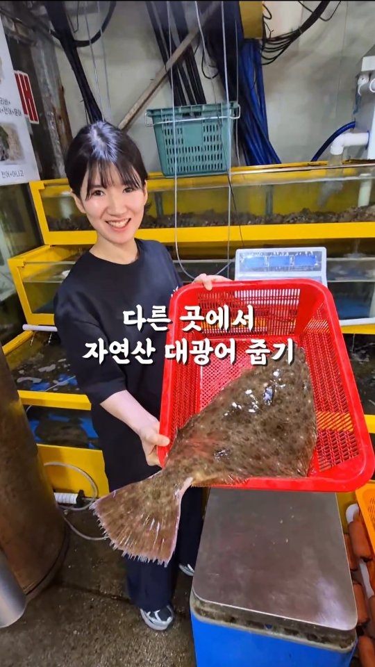 Part 13. 수산 시장과 친해지기